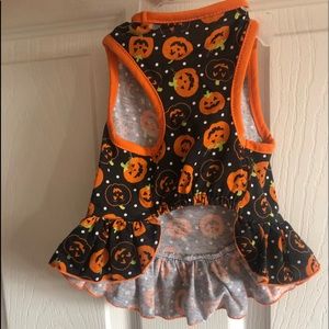 Halloween dog dress